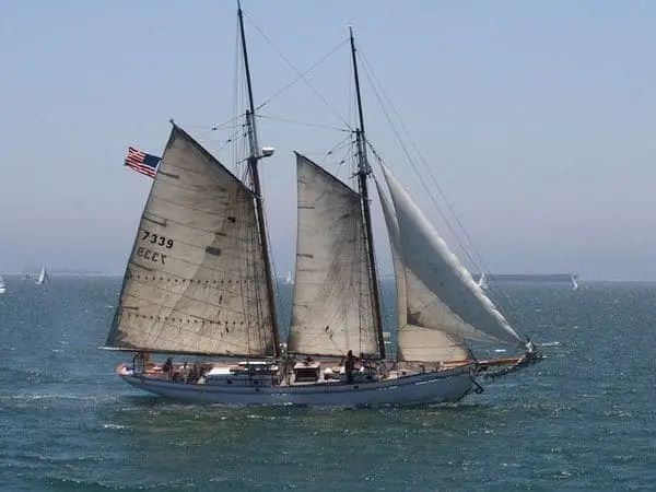 what is the sail on a sailboat called